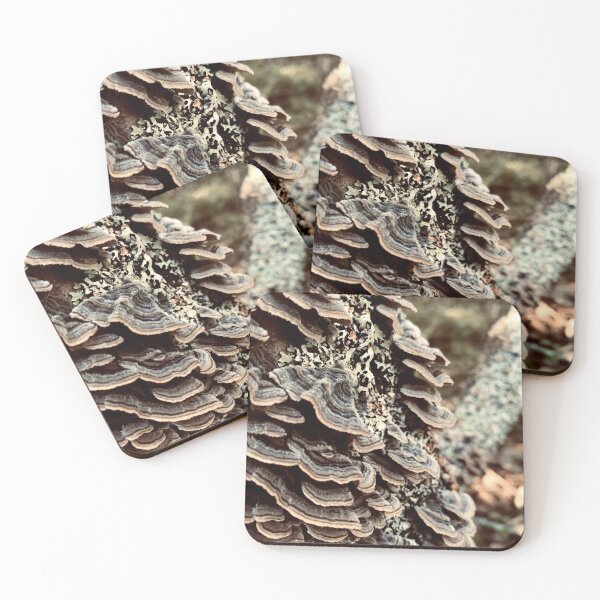 Item preview, Turkey Tails designed and sold by Kelly O'Neill.