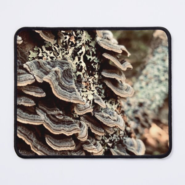 Item preview, Turkey Tails designed and sold by Kelly O'Neill.