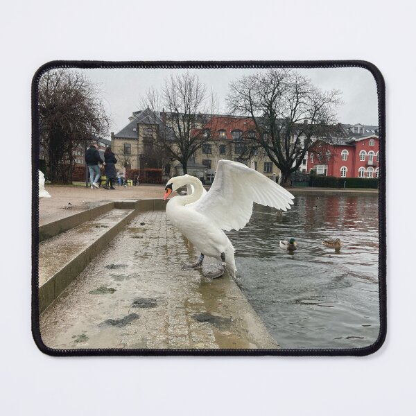 Item preview, Swan Angel • 2023 • The Lakes, Copenhagen • Three designed and sold by Mortinus.