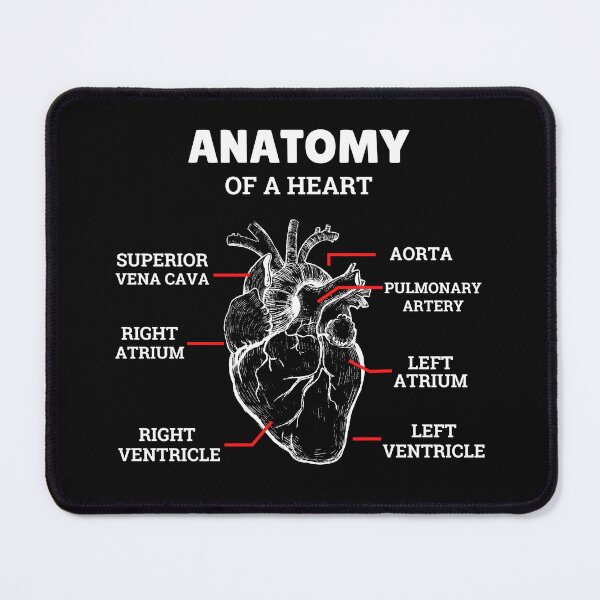 Item preview, Heart Basic Anatomy Medical designed and sold by 5thseason-shop.