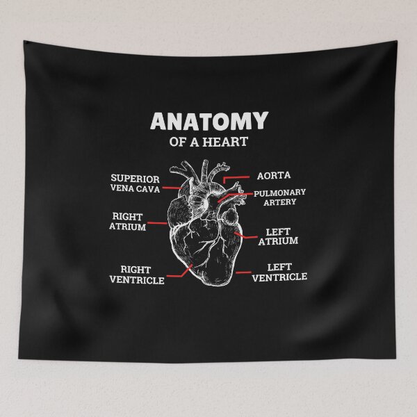 Item preview, Heart Basic Anatomy Medical designed and sold by 5thseason-shop.