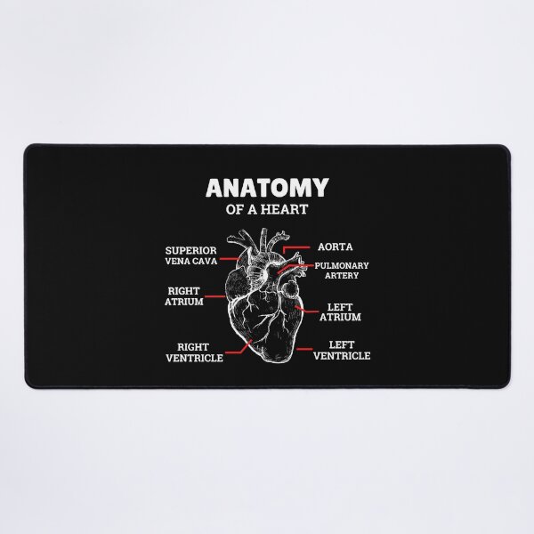 Item preview, Heart Basic Anatomy Medical designed and sold by 5thseason-shop.