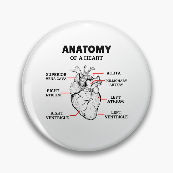 Item preview, Heart Basic Anatomy Medical designed and sold by 5thseason-shop.