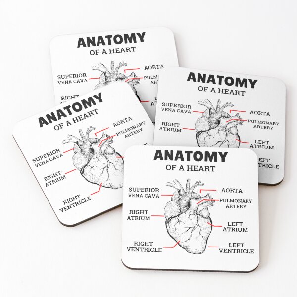 Item preview, Heart Basic Anatomy Medical designed and sold by 5thseason-shop.
