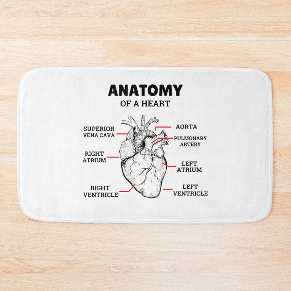 Item preview, Heart Basic Anatomy Medical designed and sold by 5thseason-shop.