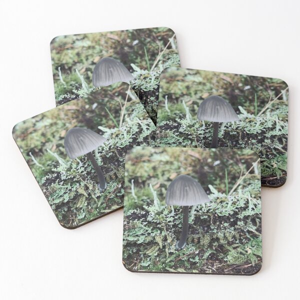 Item preview, Little Grey designed and sold by Kelly O'Neill.