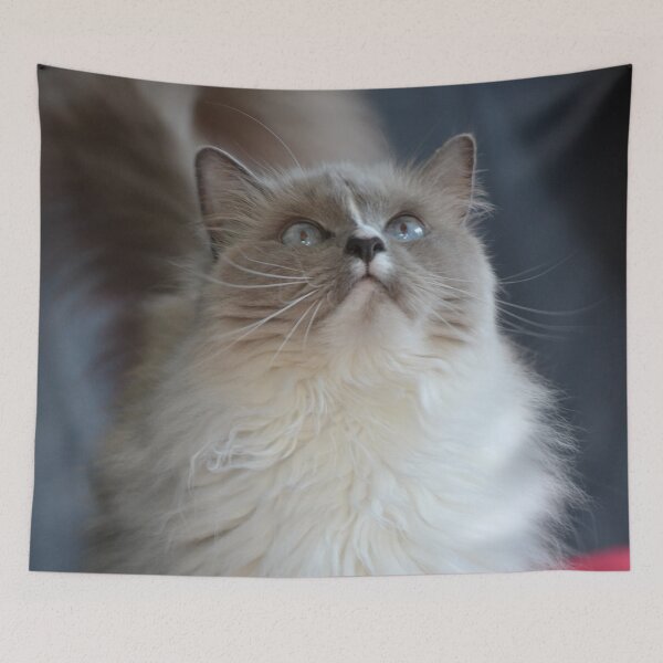 Item preview, On the catwalk designed and sold by lizdomett.