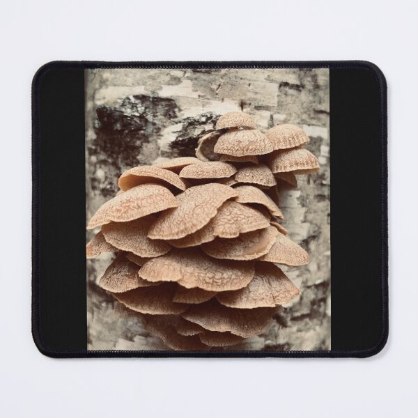 Item preview, Mushrooms designed and sold by Kelly O'Neill.