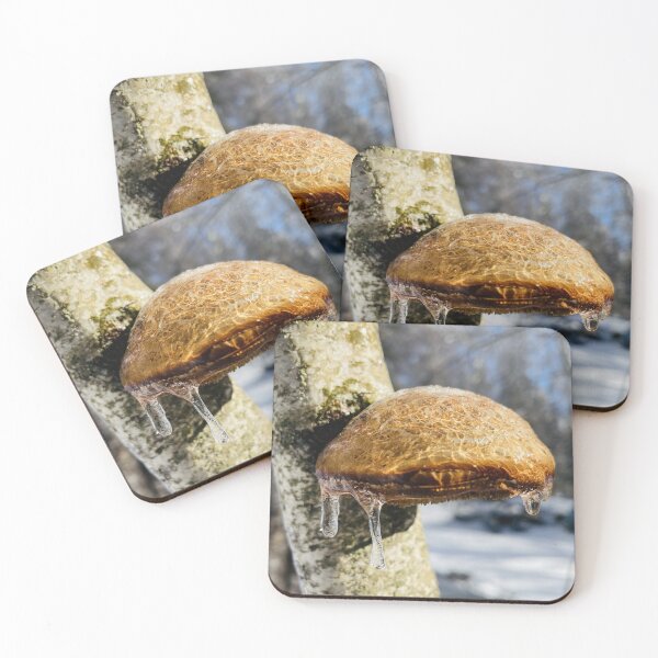Item preview, Birch Polypore designed and sold by Kelly O'Neill.