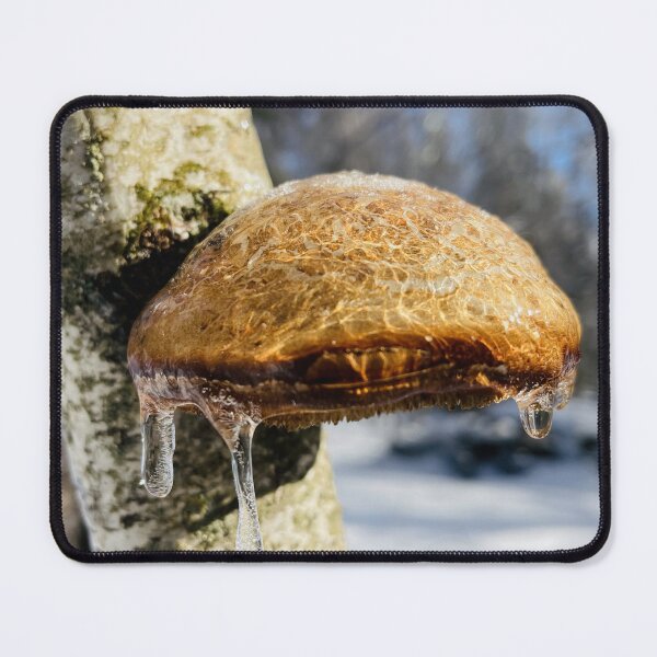 Item preview, Birch Polypore designed and sold by Kelly O'Neill.