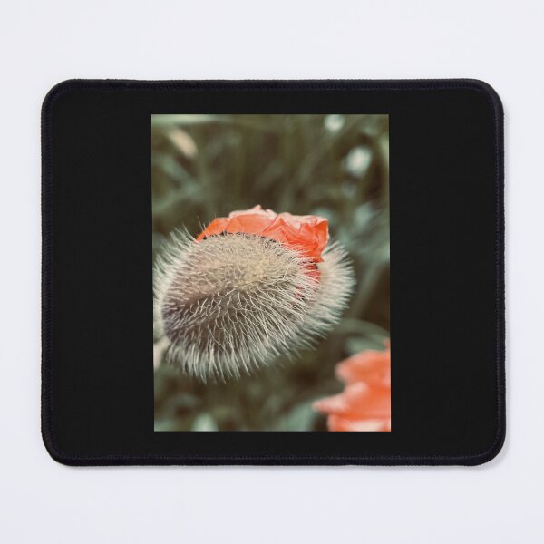 Item preview, Fuzzy Bloom designed and sold by Kelly O'Neill.
