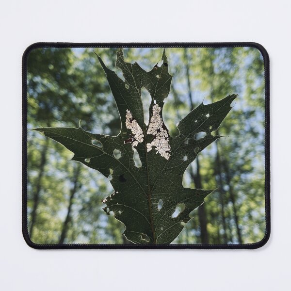 Item preview, Leaf designed and sold by Kelly O'Neill.