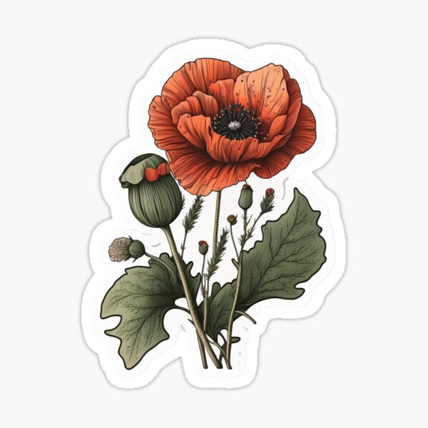 Item preview, Poppies Sticker designed and sold by pathsofmeaning.