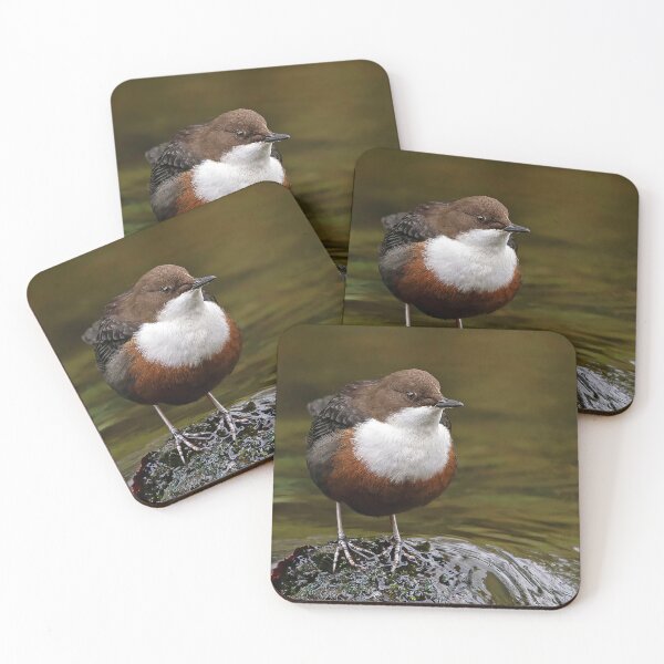 Item preview, White-throated Dipper designed and sold by Tom McPherson Photography.