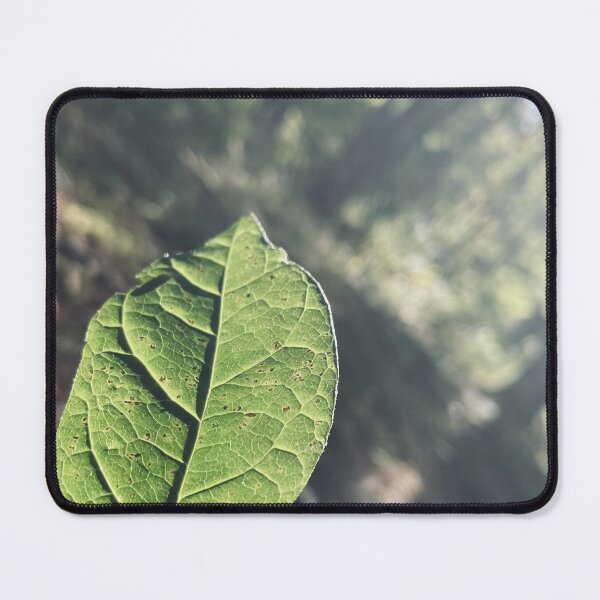 Item preview, Green Leaf designed and sold by Kelly O'Neill.
