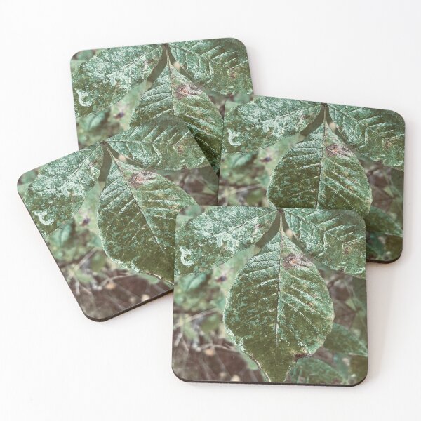 Item preview, Wet Leaf designed and sold by Kelly O'Neill.
