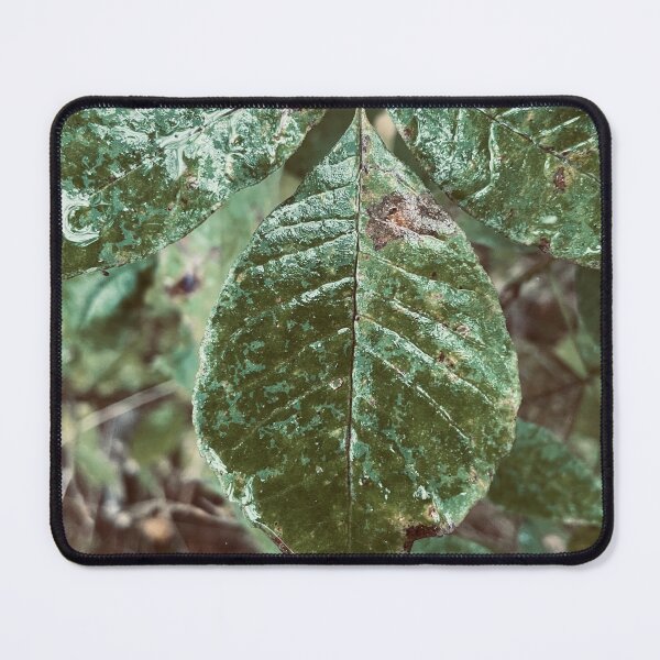 Item preview, Wet Leaf designed and sold by Kelly O'Neill.