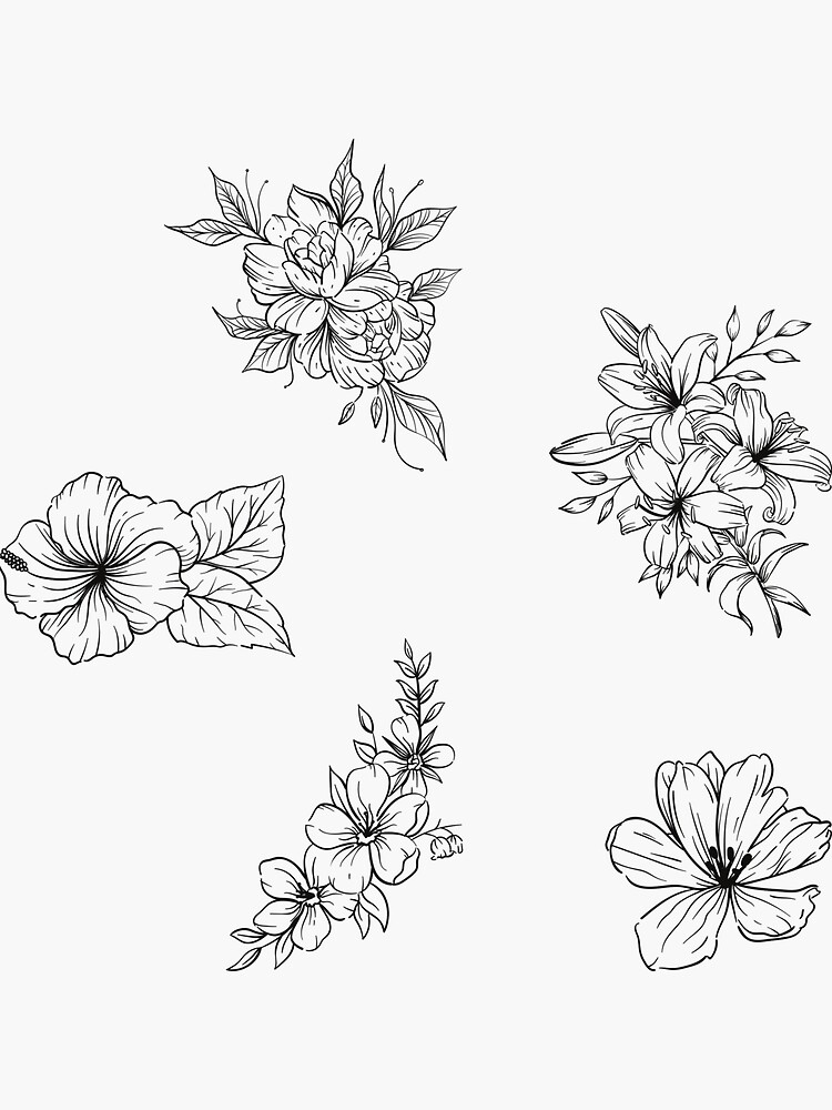 Pink and white flower with five petals/stamens png download - 2928*3468 -  Free Transparent Flower Drawing png Download. - CleanPNG / KissPNG
