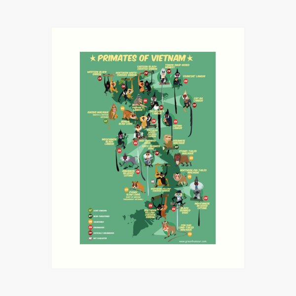 Item preview, Primates of Vietnam designed and sold by Green Humour.