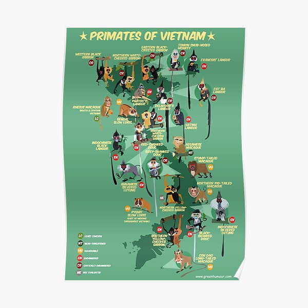 Primates of Vietnam Poster