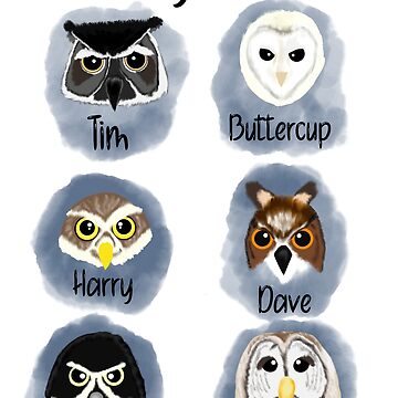 Artwork thumbnail, Know Your Owls - Astonished Cat Company by AstonishedCatCo