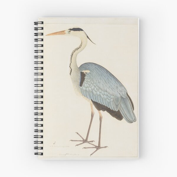 Item preview, Grey Heron by Ram Das, 1782 designed and sold by Natural History Prints.