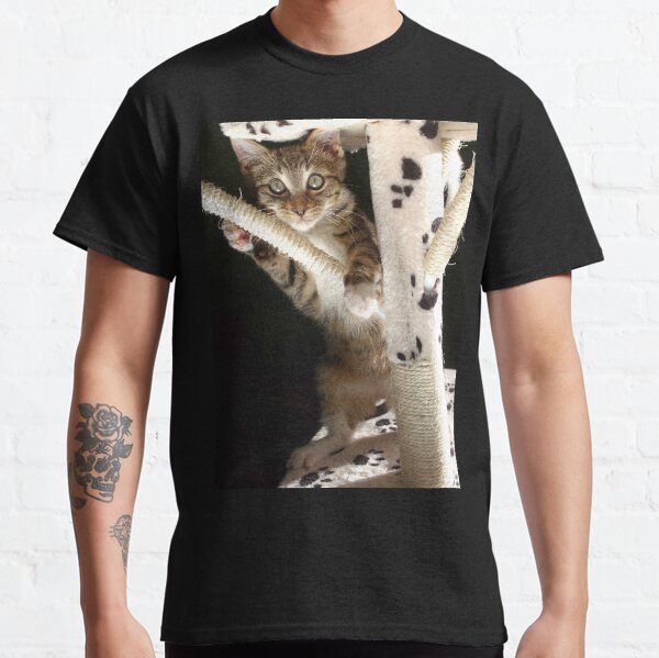 Kitten playing on cat tree Classic T-Shirt