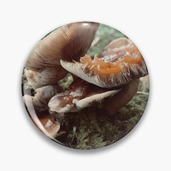 Item preview, Eaten Mushrooms designed and sold by Kelly O'Neill.