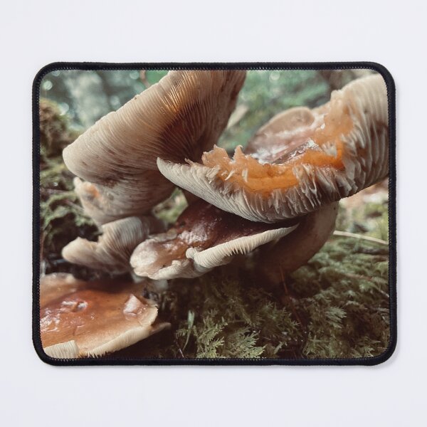 Item preview, Eaten Mushrooms designed and sold by Kelly O'Neill.