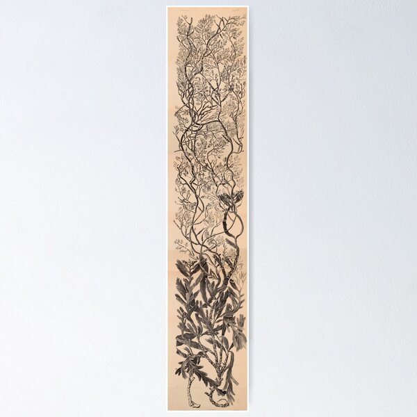 Item preview, Naturalist Seaweed designed and sold by BlueSpecsStudio.