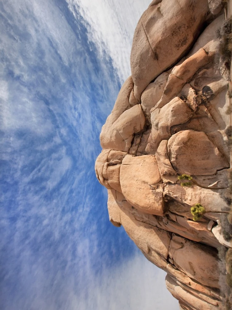 Thumbnail 4 of 4, iPhone Case, Joshua Tree Rocks designed and sold by Dave Hare Photography.