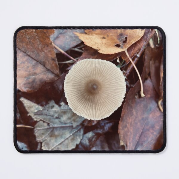 Item preview, Pointy Mushroom designed and sold by Kelly O'Neill.