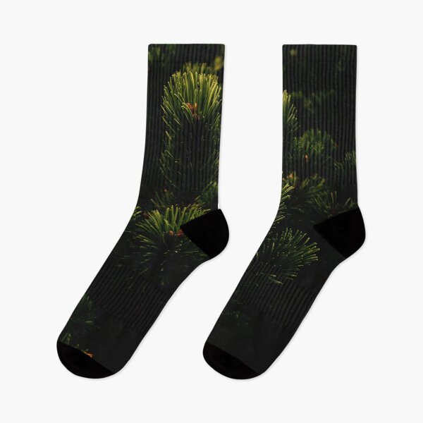 Item preview, pine branches designed and sold by fowons.