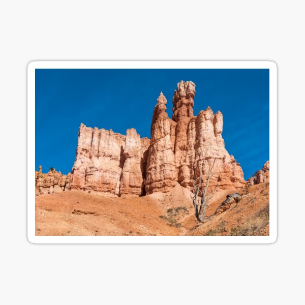 Un rassemblement Sticker