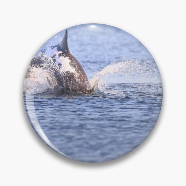 Item preview, Amazing Spirtle bottlenose designed and sold by chanonry.