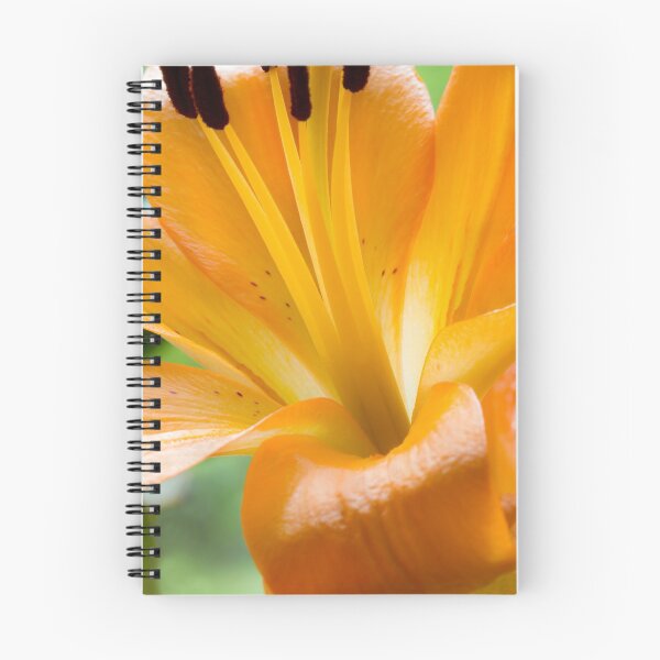 Item preview, Orange Lily designed and sold by Dave Hare Photography.