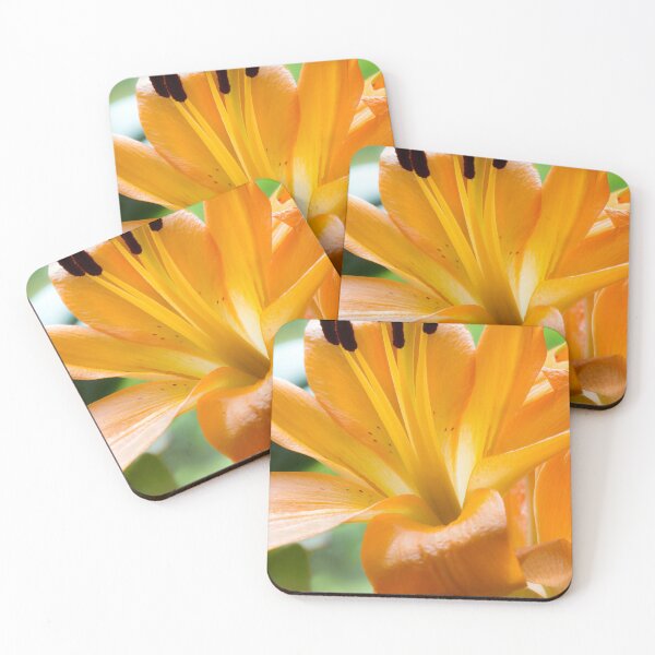 Item preview, Orange Lily designed and sold by Dave Hare Photography.