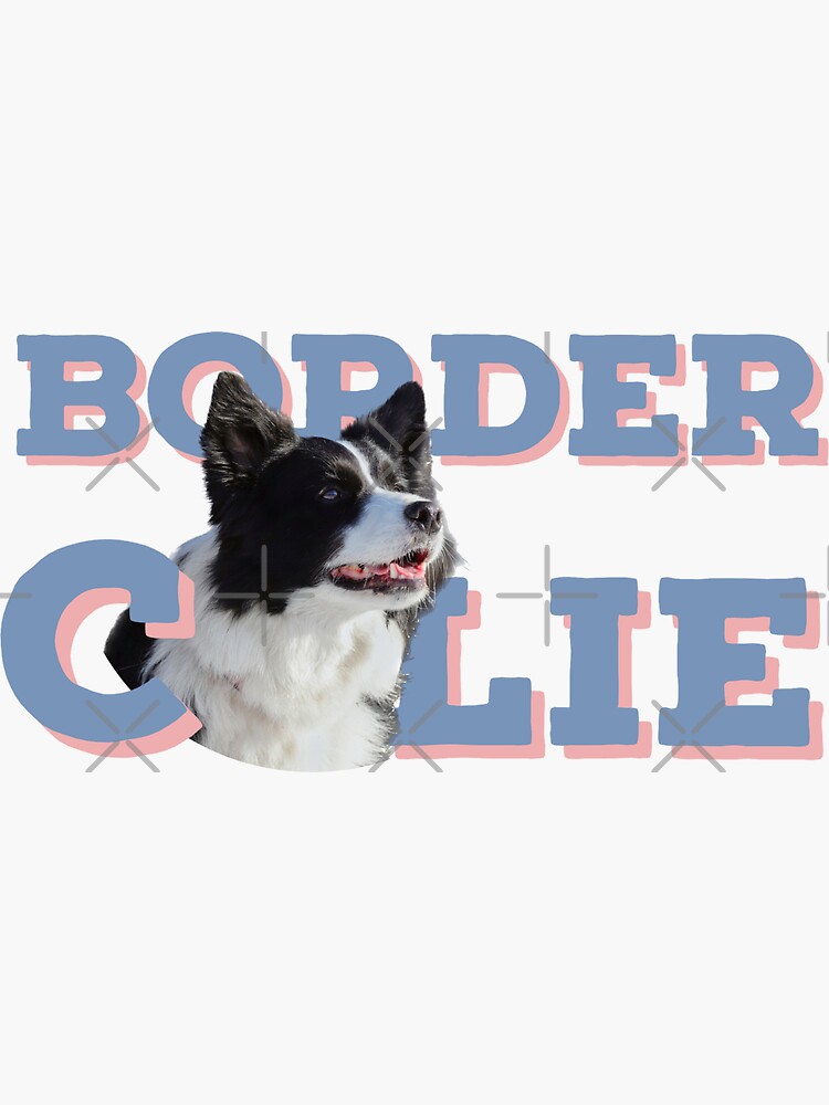 Border Collie Dog Sleeping In White Angel Wings - Llavero Acrílico, Regalo Para Los Amantes De Los Perros Border Collie, Llaveros Decorativos De 2 Caras, Llavero Para Bolso, Cartera, Accesorios De