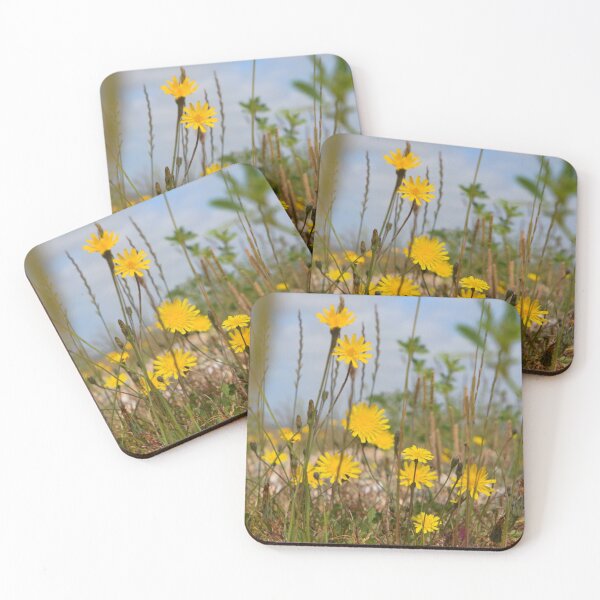 Item preview, Seaside flora designed and sold by Dave Hare Photography.