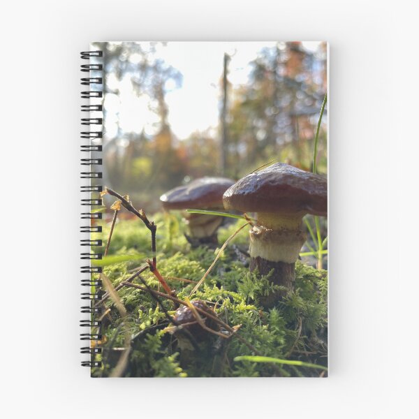 Item preview, Little Boletes designed and sold by Kelly O'Neill.