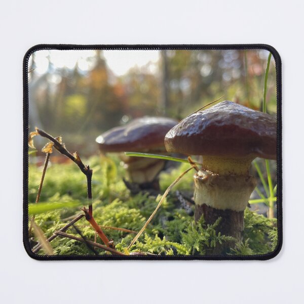 Item preview, Little Boletes designed and sold by Kelly O'Neill.