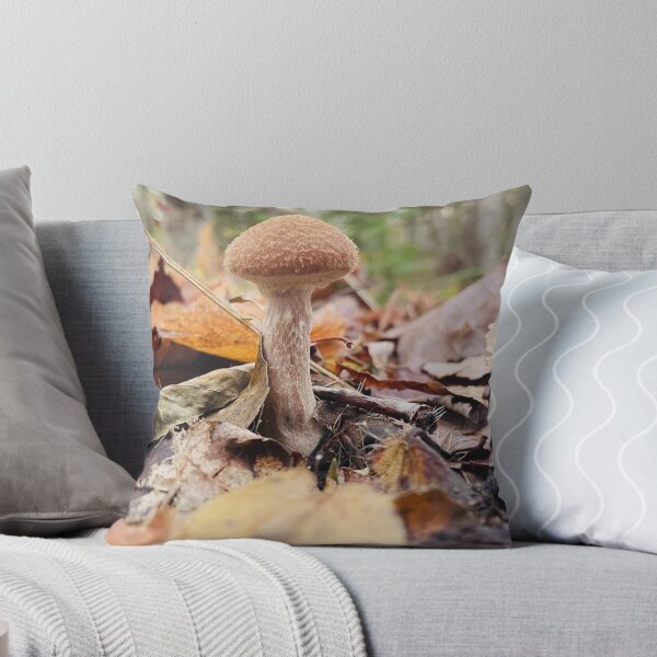 Item preview, Fuzzy Mushroom designed and sold by Kelly O'Neill.