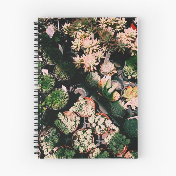 Item preview, sun-bathed succulents designed and sold by yoonjae.