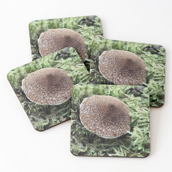 Item preview, Brown Fuzzy Mushroom designed and sold by Kelly O'Neill.