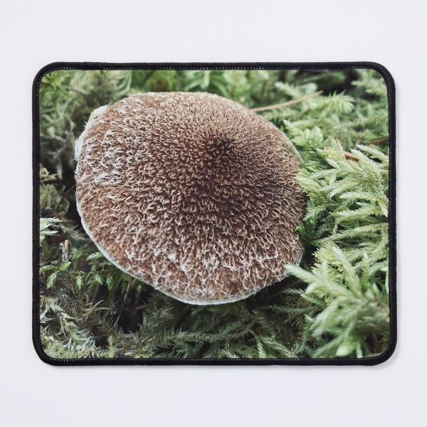Item preview, Brown Fuzzy Mushroom designed and sold by Kelly O'Neill.