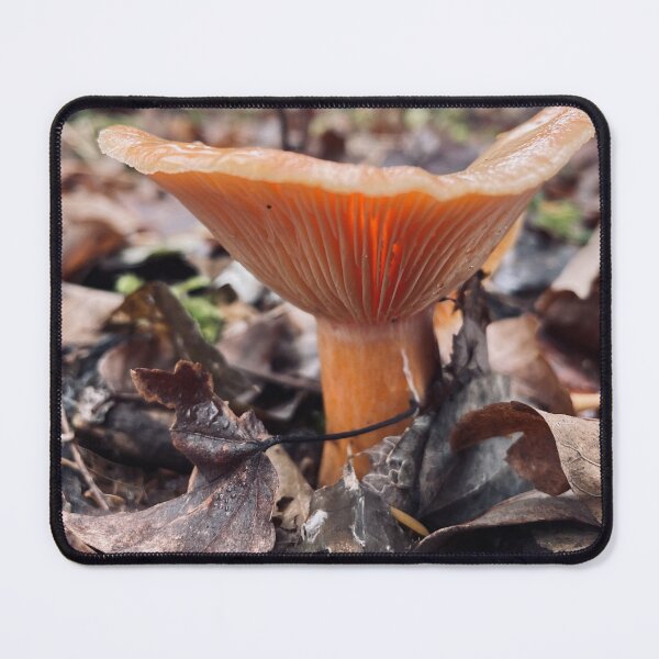 Item preview, Fall Mushroom designed and sold by Kelly O'Neill.