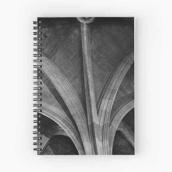 Item preview, Narbonne ceilings designed and sold by Dave Hare Photography.