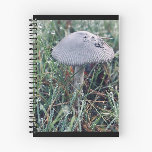 Item preview, Dewy Mushroom designed and sold by Kelly O'Neill.