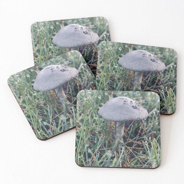 Item preview, Dewy Mushroom designed and sold by Kelly O'Neill.