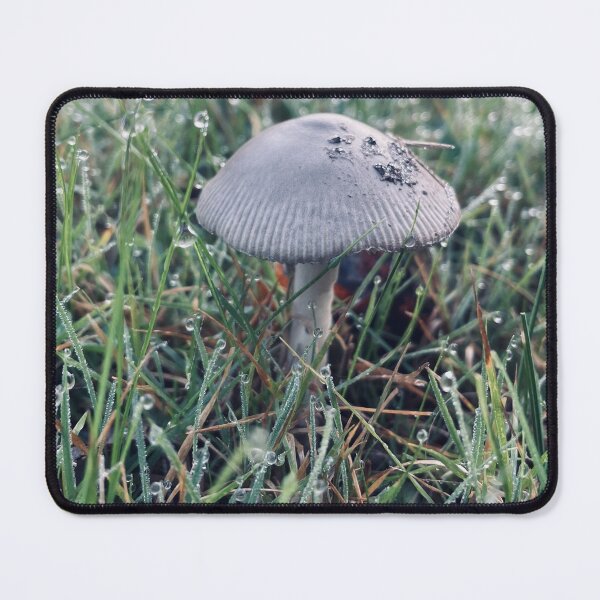 Item preview, Dewy Mushroom designed and sold by Kelly O'Neill.